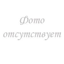 Землянский Михаил Вадимович.